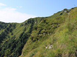 Analisi Habitat
