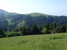 Monte Oro